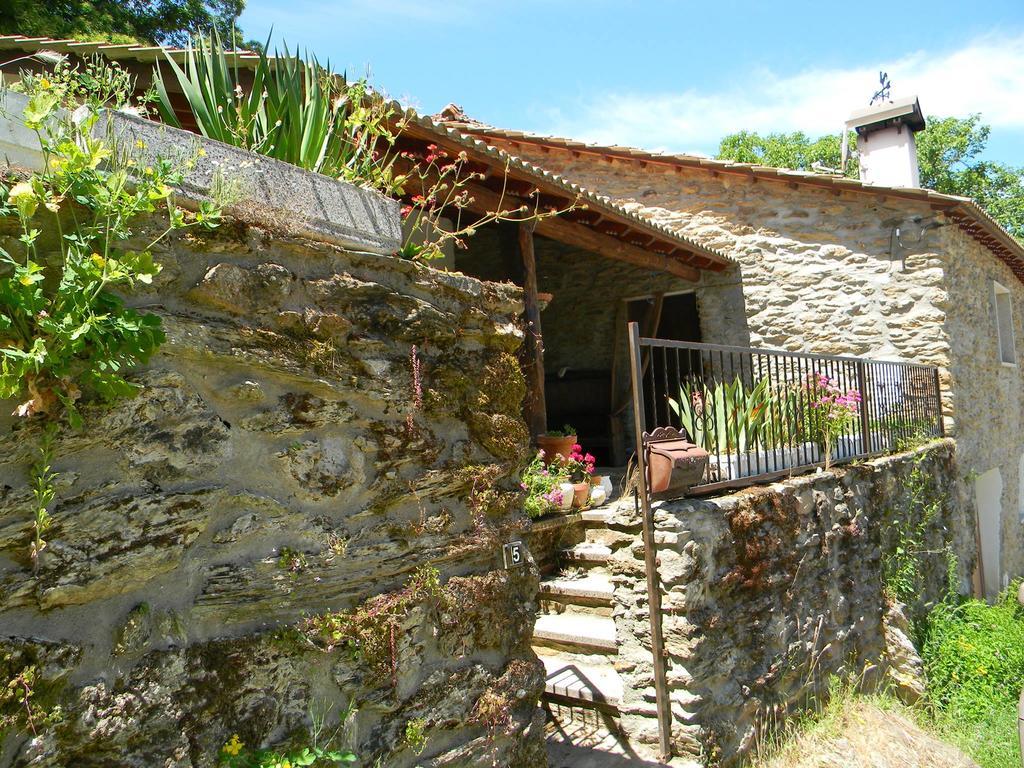 Casa Da Zeza Βίλα Negreda Εξωτερικό φωτογραφία